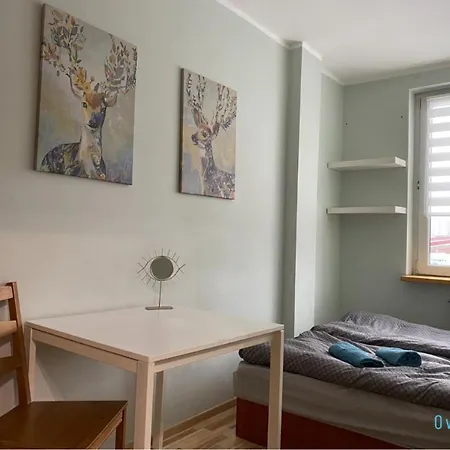 Stary Camel Apartment